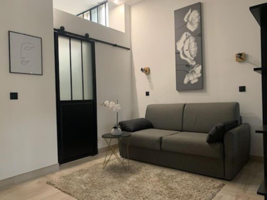 Studio Loft 40M2 De Charme Perpignan Dış mekan fotoğraf